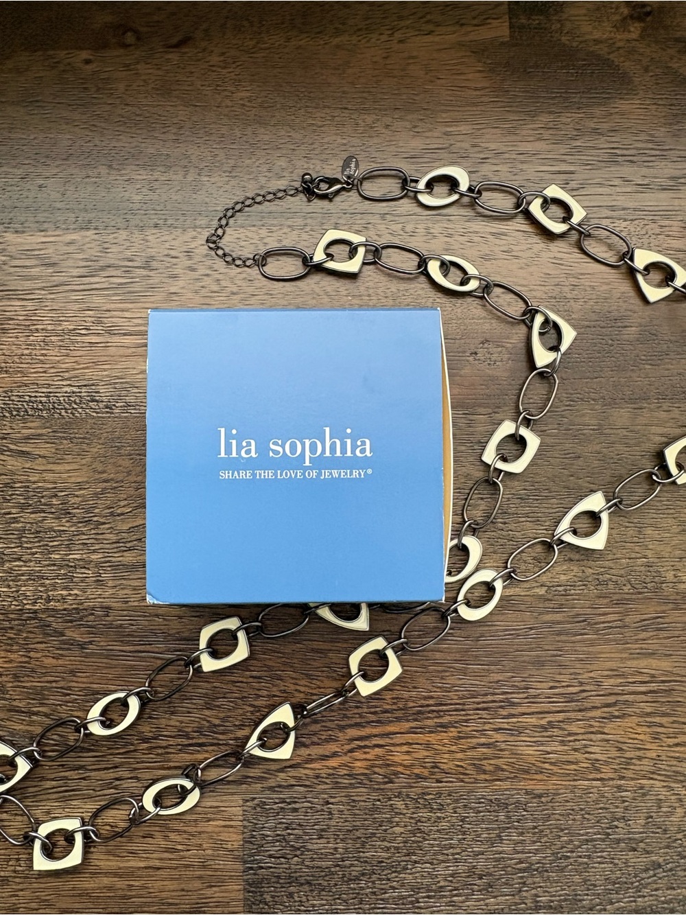 Lia Sophia Gold and Dark Metal Link Necklace